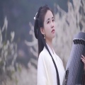 王元圆 - 飘摇