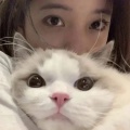 可c、棠霜icing、史珍香 - 再来亿局