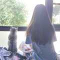 若鱼 - 鱼