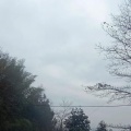 陈烨《浪漫情人》