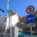司命《违心分手》