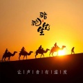 DJ骆驼 - 《爱似流星》杨紫琼