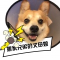 徐一二《Don't Know Why》