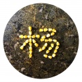 青春的纪念碑 - 蓝莲花