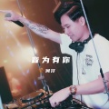 何仔《偏偏喜欢你》