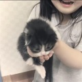 停留于7的位置《该释怀了V3》