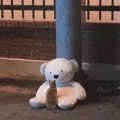 ghfhgfyg《半生年华》