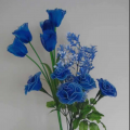 简单小芳、月下思故人 - 人到中年