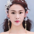 二芊琻 - 星语心愿