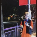 杨华南 - 回望
