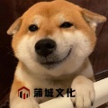 DJ 小鑫 - 爱人错过