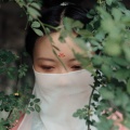 合欢《芒种》