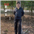 梁劲武《星星点灯》