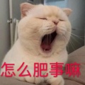 比利姥姥《初见》