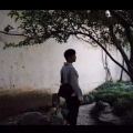 毕琛 - 牛奶面包