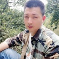 莫君《忘情果》