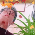 都市赶路人劉锁臣 - 杏花落