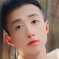 呆呆鱼 - 相随