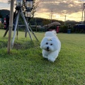 予山、屏鸦《有种》