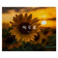 龙云《夏天的风》