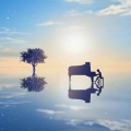 顾彬 - 被遗忘的那段时光