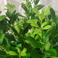 心灵驿站《不爱宝马爱二八》