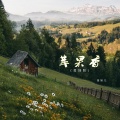 蛮妹儿 - 初来人间不知苦