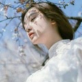 石伊《起风了》