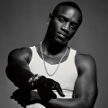 Akon、Chris Brown - Came To Do