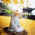 印能法师 - 药师佛心咒