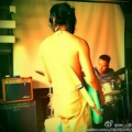 山茶《谪仙》