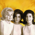 the honeys - Girls Are Vicious