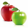 QQAPPLE《Daylight-QQAPPLE_Master》