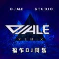 DJA乐《答案》