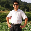 梁先金《黄梅悠悠》
