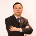 白杨《相思树》
