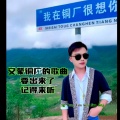 子成、杨彩 - 心中锁