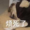 敌敌畏《喜欢你》