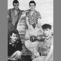The Polecats - Don't Push