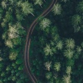 火星哥《阿刁》