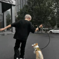 午睡了《山楂树之恋》