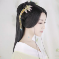 赵佳怡《醉仙美》