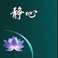 酷虎《思念天边的你》