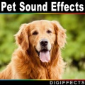 Digiffects Sound Effects Library《Cat Purring and Being Petted》
