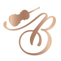 BoyViolin《Enemy》