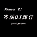 岑溪DJ辉仔《cici-把回忆拼好给你》