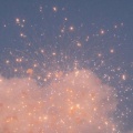 鲸瓷、鹿九鹅《雪白和玫瑰红》