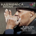 Harmonica Shah《Marry Who You Really Need》