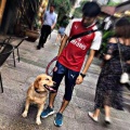 沉闷人《反对无效》