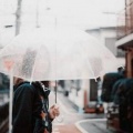 听枫《余生做你的影子》